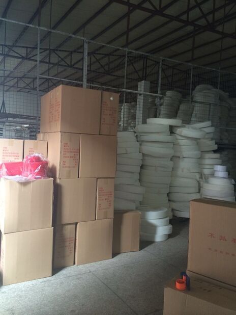 DE Xin Sheng (Shenzhen) Industrial Co., LTD